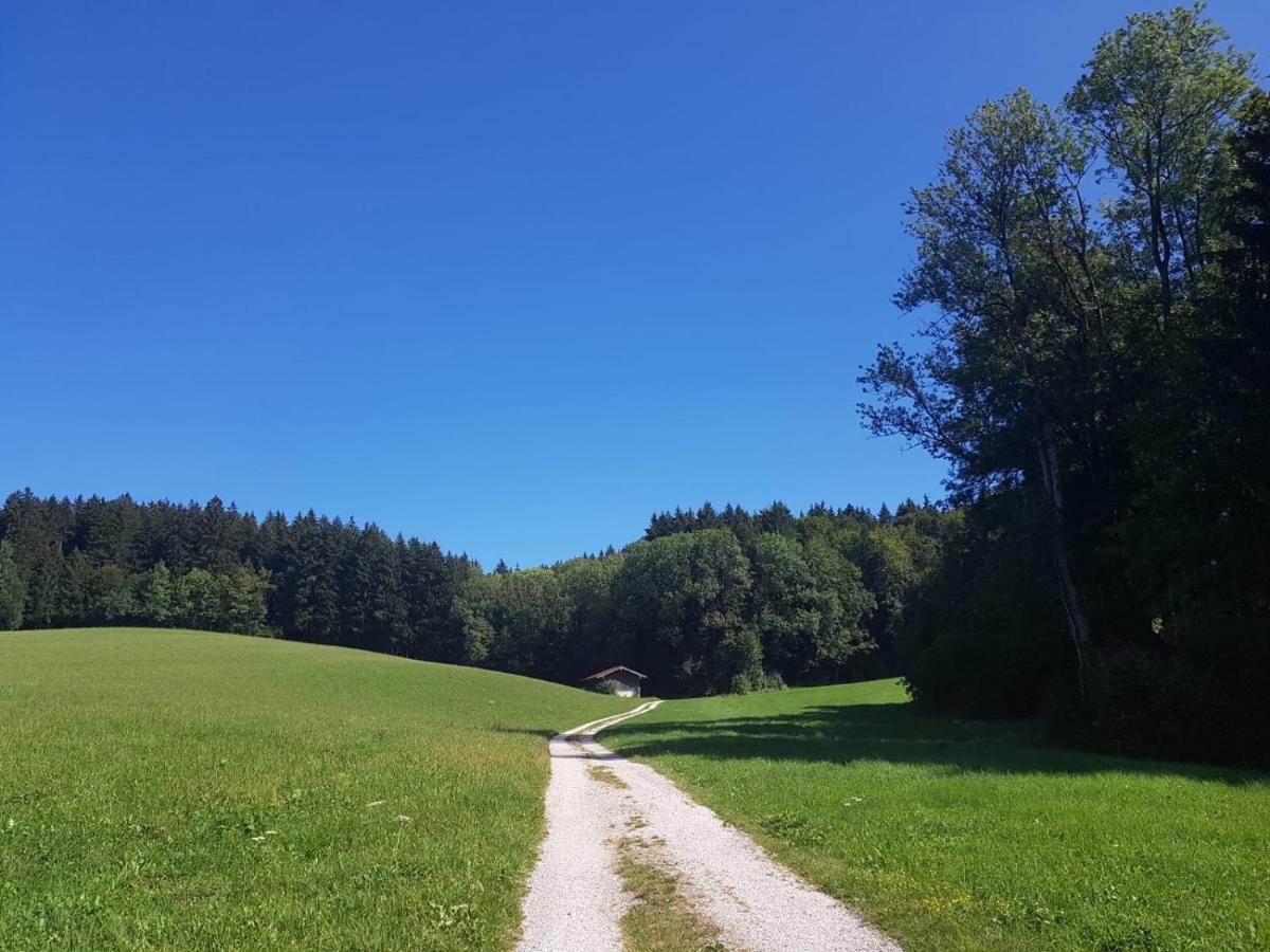 Ferienhaus Chiemgauer Auszeit- Chiemgaukarte Inclusive Siegsdorf Εξωτερικό φωτογραφία