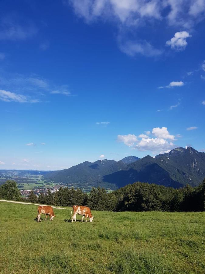 Ferienhaus Chiemgauer Auszeit- Chiemgaukarte Inclusive Siegsdorf Εξωτερικό φωτογραφία