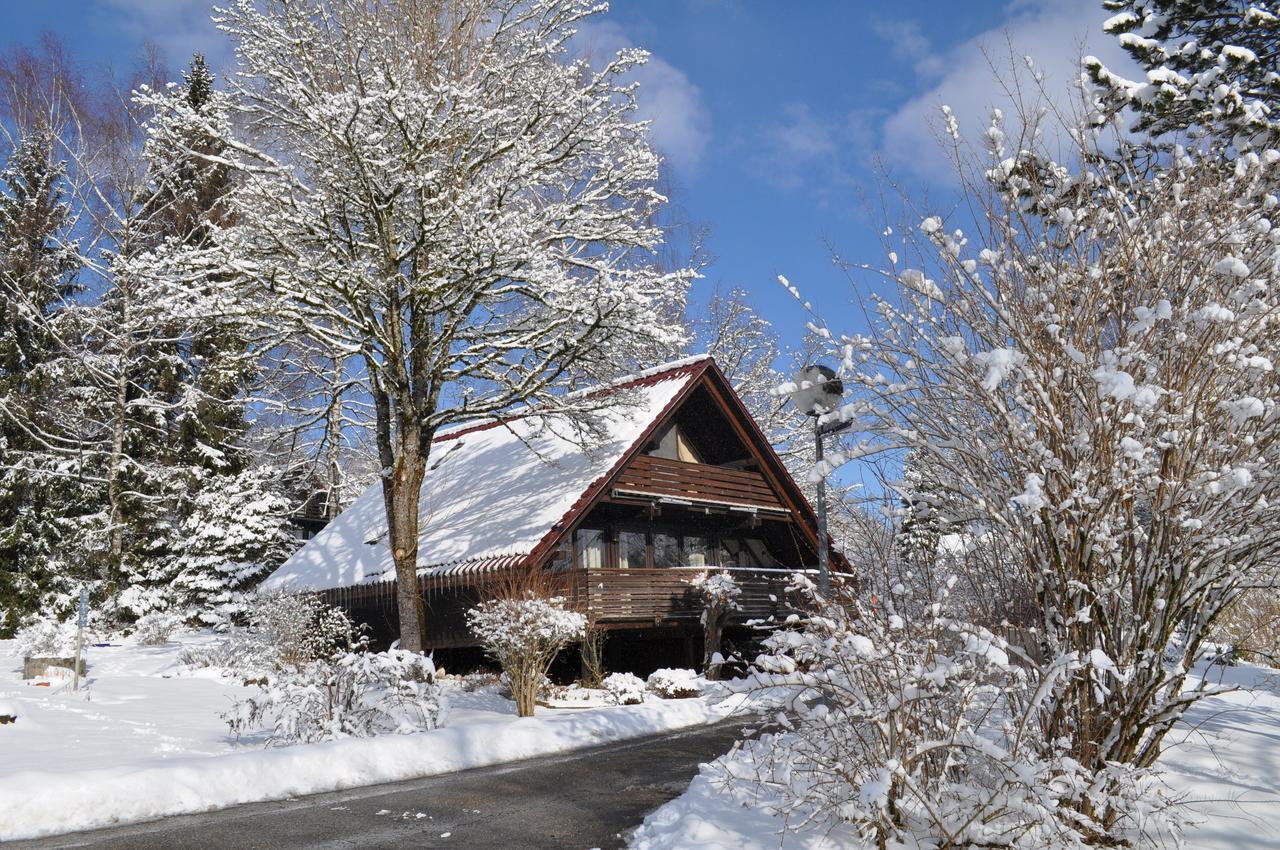 Ferienhaus Chiemgauer Auszeit- Chiemgaukarte Inclusive Siegsdorf Εξωτερικό φωτογραφία
